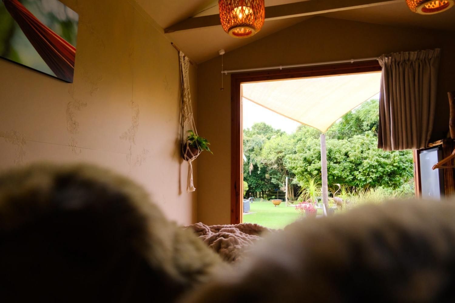 Bwhale Guest House B&B Knysna Bagian luar foto
